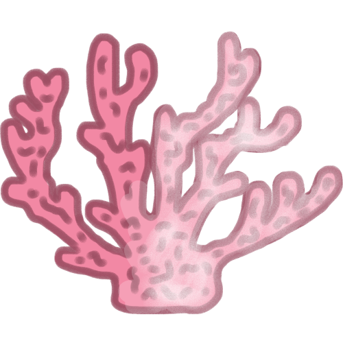 a pink (staghorn) coral with one side of the coral fading into white